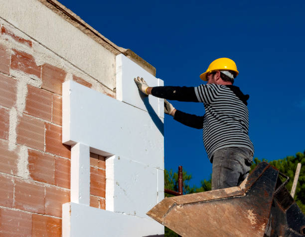 Best Cellulose Insulation  in Waukee, IA