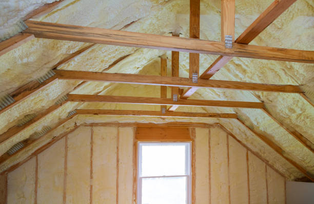 Best Insulation Inspection Services  in Waukee, IA