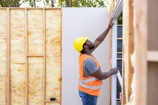 Best Best Insulation Companies  in Waukee, IA
